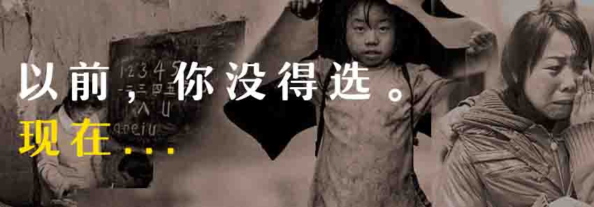 全新网赚