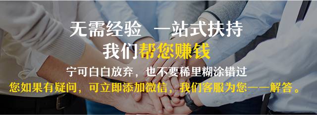 全新网赚